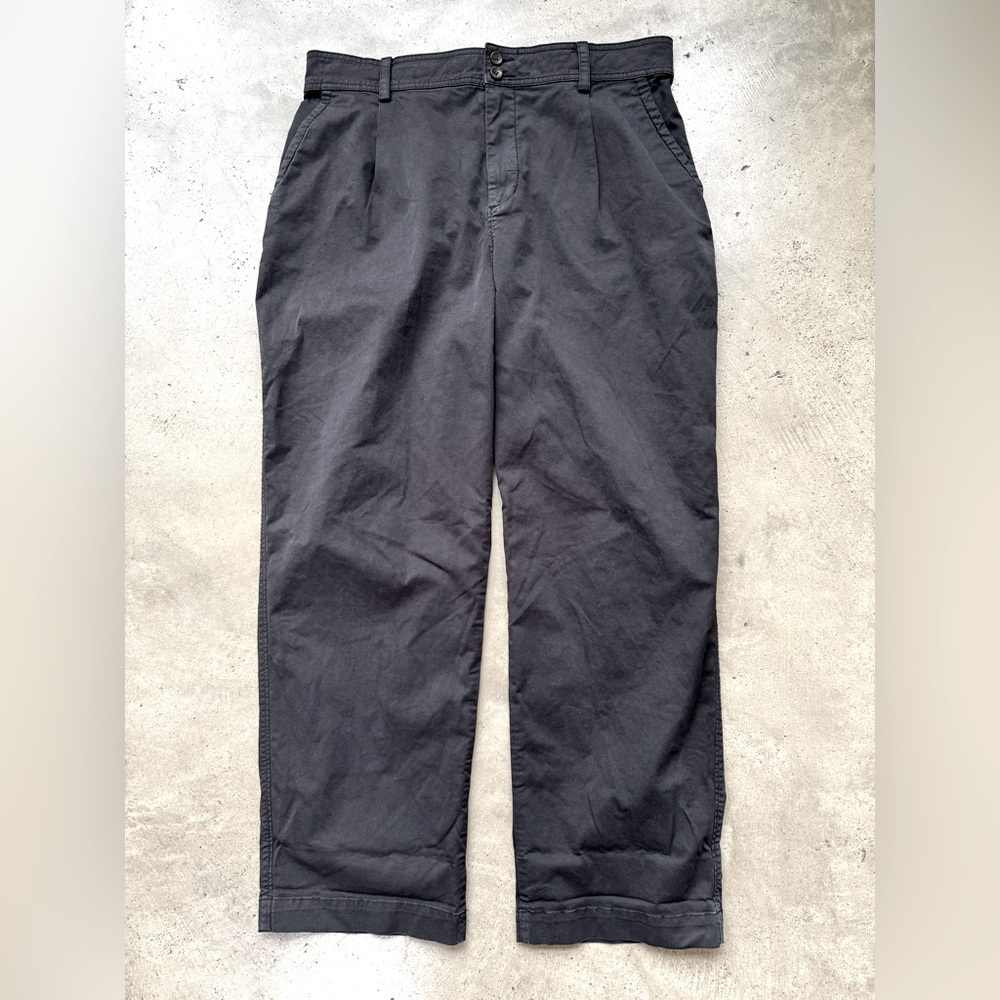 Everlane black pleat front utility chino pants in black sz 14